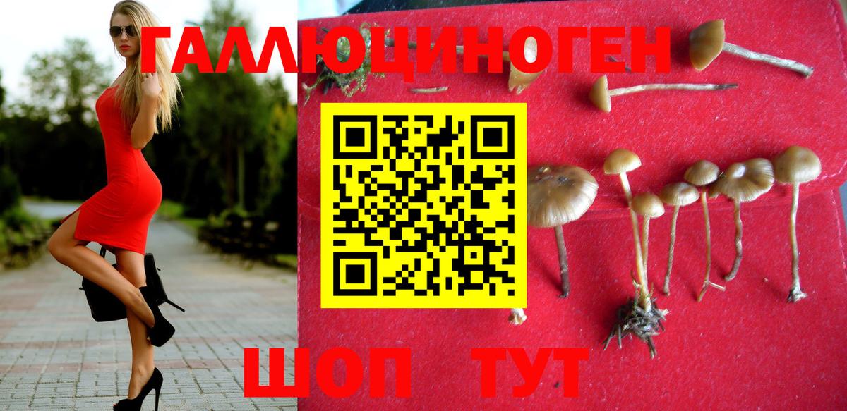 Галлюциногенные грибы ЛСД Острогожск